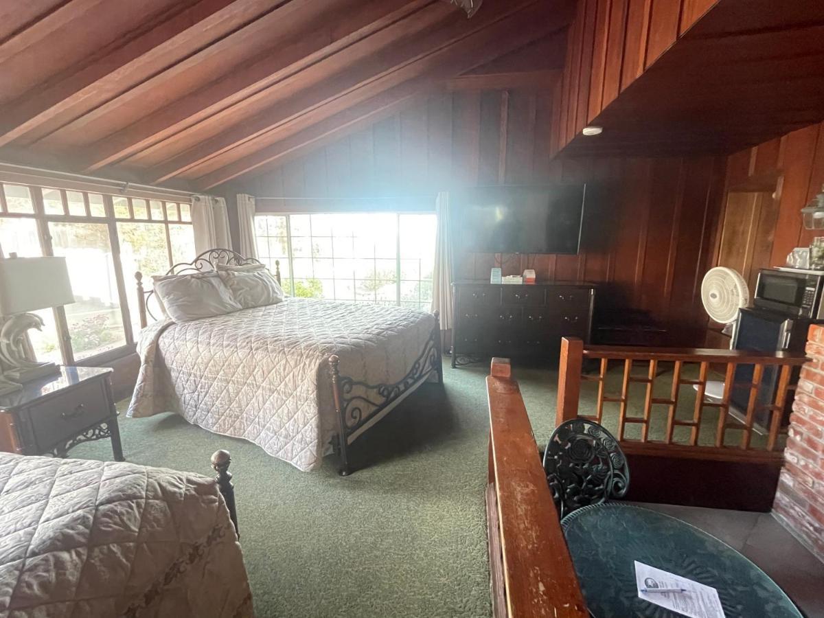 厄齐沃特海滩套房酒店 圣克鲁兹 外观 照片